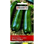 Cukinia ASTRA POLKA (Cucurbita pepo) - 3 g