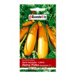 Cukinia ATENA POLKA (Cucurbita pepo) - 2 g
