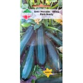 Cukinia BLACK BEAUTY (Cucurbita pepo) - 5 g