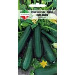 Cukinia BLACK BEAUTY (Cucurbita pepo) - 5 g