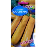 Cukinia GOLDENA (Cucurbita pepo) - 3 g