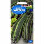 Cukinia LAJKONIK (Cucurbita pepo) - 3 g