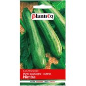 Cukinia NIMBA (Cucurbita pepo) - 3 g
