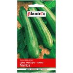 Cukinia NIMBA (Cucurbita pepo) - 3 g