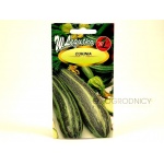 Cukinia STRIATO D`ITALIA (Cucurbita pepo) - 2 g 