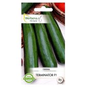 Cukinia TERMINATOR F1 (Cucurbita pepo) - 2 g