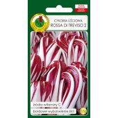 Cykoria liściowa ROSSA DI TREVISO 2 (Cichorium intybus) - 0,3 g