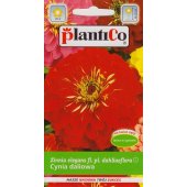 Cynia wytworna daliowa JOWITA (czerwona) (Zinnia elegans) - 1 g