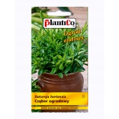 Cząber ogrodowy (Satureja hortensis) - 1 g 