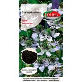 Czarnuszka siewna (Nigella sativa) - 1 g