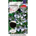 Czarnuszka siewna (Nigella sativa) - 1 g