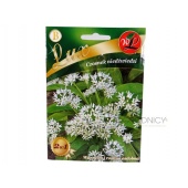 Czosnek niedźwiedzi (Allium ursinum) - 0,5 g