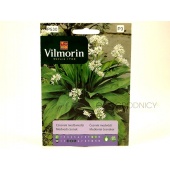 Czosnek niedźwiedzi (Allium ursinum) - 500 mg 