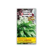 Czosnek niedźwiedzi (Allium ursinum) - 0,5 g