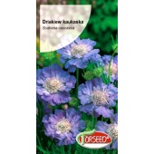 Driakiew kaukaska, Wdówka (Scabiosa caucasica) - 0,5 g