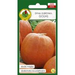 Dynia olbrzymia GOLIAS (Cucurbita maxima) - 3 g