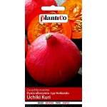 Dynia olbrzymia HOKKAIDO UCHIKI KURI (Cucurbita maxima) - 3 g 