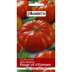 Dynia olbrzymia ROUGE TRES HATIF D\'ETAMPES (Cucurbita maxima) - 3 g