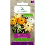 Dynia ozdobna KORONA CIERNIOWA (Cucurbita pepo) - 1 g