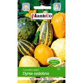 Dynia ozdobna MIX (Cucurbita pepo) - 2 g