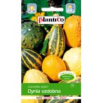 Dynia ozdobna MIX (Cucurbita pepo) - 2 g