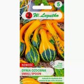 Dynia ozdobna SMALL SPOON (Cucurbita pepo) - 1 g