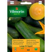 Dynia piżmowa LUNGA DI NAPOLI (Cucurbita moschata) - 2 g