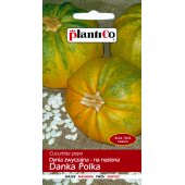 Dynia zwyczajna pestkowa DANKA POLKA (Cucurbita pepo) - 3 g