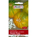 Dynia zwyczajna pestkowa DANKA POLKA (Cucurbita pepo) - 3 g