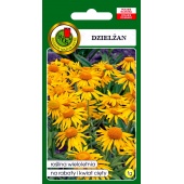 Dzielżan (Helenium hoopesii) - 1 g