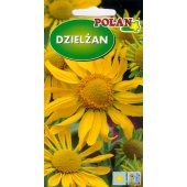 Dzielżan (Helenium hoopesii) - 1 g