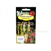 Dziewanna mieszanka (Verbascum sp.) - 0,1 g