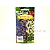 Dzwonek brzoskwiniolistny (Campanula persicifolia) - 0,3 g