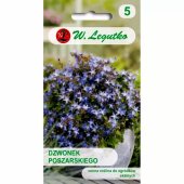 Dzwonek Poszarskiego (Campanula poscharskyana) - 0,03 g