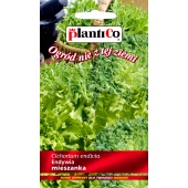 Endywia mieszanka odmian (Cichorium endivia) - 0,3 g