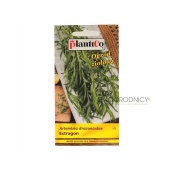 Estragon (Artemisia dracunculus) - 0,05 g 