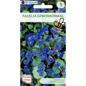 Facelia dzwonkowata (Phacelia campanularia) - 0,5 g