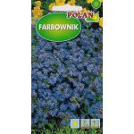 Farbownik (Anchusa capensis) - 0,5 g 