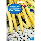 Fasola karłowa na suche nasiona IGOŁOMSKA (Phaseolus cocineus) - 50 g