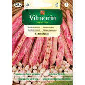 Fasola tyczna na suche nasiona BORLOTTO LAMON (Phaseolus vulgaris) - 30 g