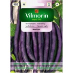 Fasola szparagowa karłowa fioletowostrąkowa AMETHYST (Phaseolus vulgaris) - 30 g