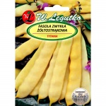 Fasola szparagowa karłowa żółtostrąkowa TYTANIA (Phaseolus vulgaris) - 40 g