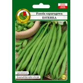Fasola szparagowa karłowa zielonostrąkowa ESTERKA otoczkowana (Phaseolus vulgaris) - 50 g 
