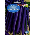 Fasola szparagowa karłowa fioletowostrąkowa AMETHYST (Phaseolus vulgaris) - 30 g