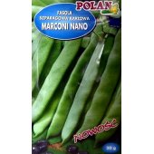 Fasola szparagowa karłowa zielonostrąkowa MARCONI NANO (Phaseolus vulgaris) - 20 g 