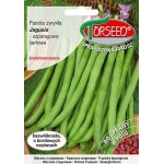 Fasola szparagowa karłowa zielonostrąkowa JAGUSIA (Phaseolus vulgaris L.) - 50 g