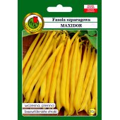 Fasola szparagowa karłowa żółtostrąkowa MAXIDOR (Phaseolus vulgaris) - 30 g