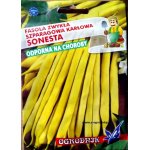 Fasola szparagowa karłowa żółtostrąkowa SONESTA (Phaseolus vulgaris) - 40 g 