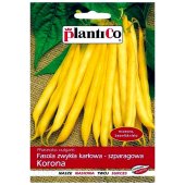 Fasola szparagowa karłowa żółtostrąkowa KORONA (Phaseolus vulgaris) - 40 g 