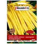 Fasola szparagowa karłowa żółtostrąkowa GOLDPANTERA (Phaseolus vulgaris) - 40 g 